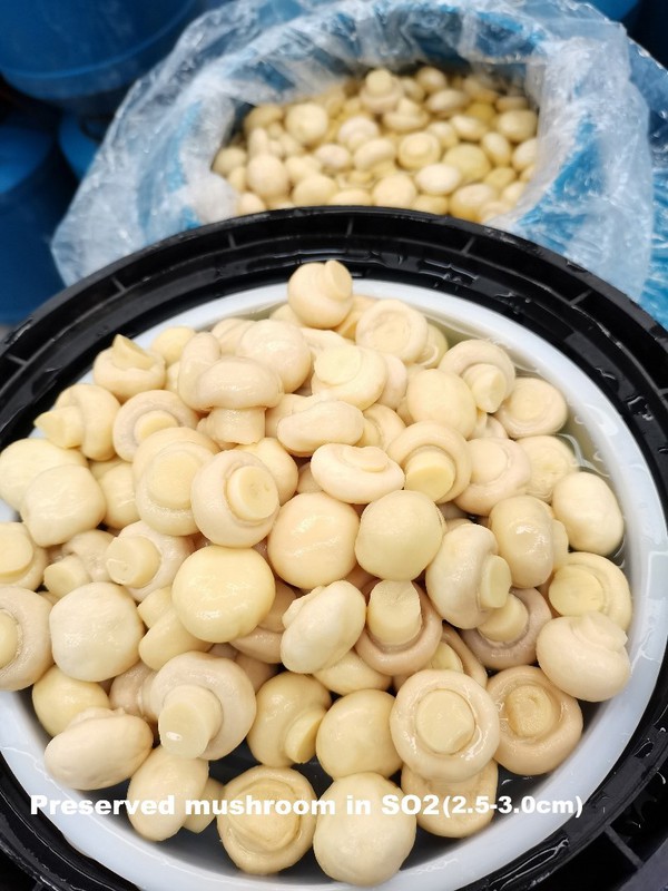 2025120114411610 2025120114411610